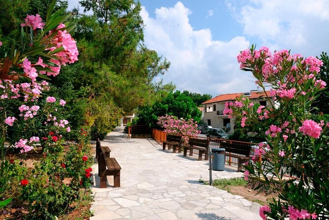 Troodos Mountains Grape Escape: All Inclusive Food & Wine Tour - Key Highlights to Know Before You Go