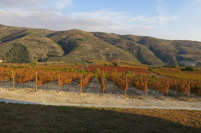 Troodos Mountains Grape Escape: All Inclusive Food & Wine Tour - Winery Stop 2 and 3: How the Day Balances Pouring and Learning