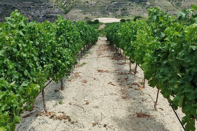 Troodos Mountains Grape Escape: All Inclusive Food & Wine Tour - Lunch and Meze: The Part You’ll Remember Longer Than the Road Trip