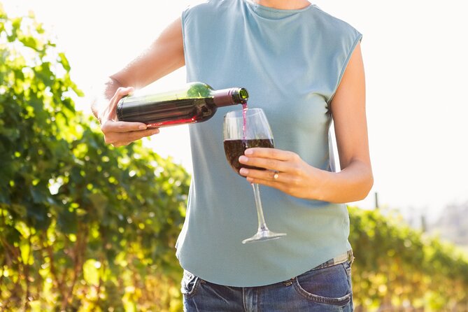 Troodos Mountains Vino Venture: All Inclusive Full Day Wine Tour - Key Things I’d Book This For