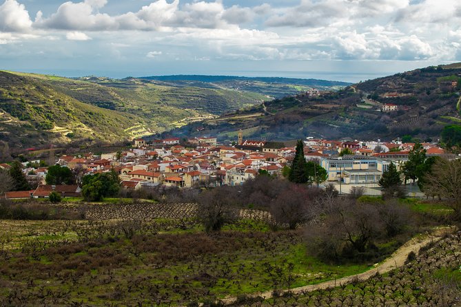 Troodos Mountains Vino Venture: All Inclusive Full Day Wine Tour - Tsangarides, Ezousa, and Vasilikon: family-owned stops with real stories
