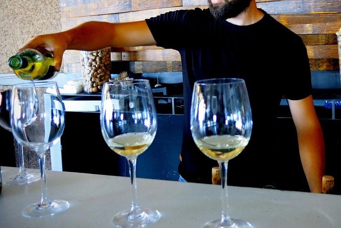 Troodos Mountains Vino Venture: All Inclusive Full Day Wine Tour - Polemi meze lunch: the best part you’ll actually remember