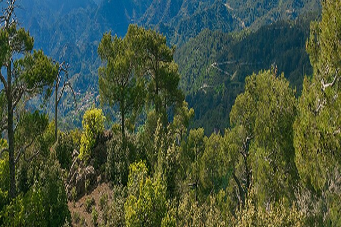 Troodos Peaks & Mountain Flavors Day Tour from Paphos - Kykkos Monastery: mosaics, the St. Luke icon, and Museum time