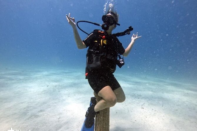 Try a Scuba Diving Experience - Getting There: Pickup, Meeting Point, And Timing That Works