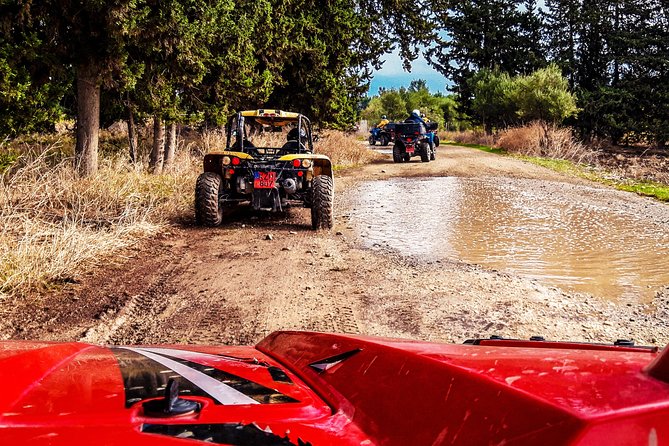 Village & Mountain Buggy Safari in Paphos - Price and Timing, What $102.80 Really Buys You