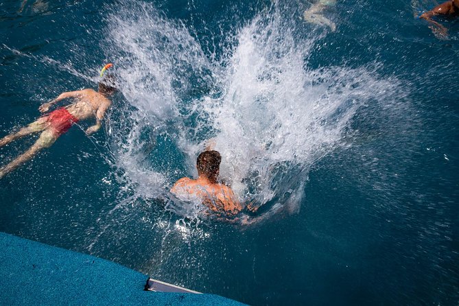 Wave Dancer Sunshine Full Day Cruise - All Inclusive - Paphos Harbour departure, and how to board smoothly
