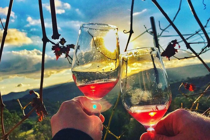 Wine Tasting and Winery Tour in Lemona Village, Paphos - The One-Hour Vineyard Visit: What You Actually Do