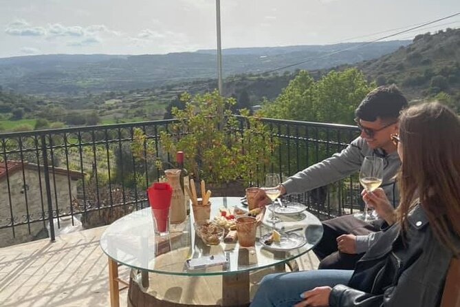 Wine Tasting and Winery Tour in Lemona Village, Paphos - Price and Value, and the One Thing to Double-Check
