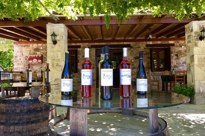 Wine Tasting and Winery Tour in Lemona Village, Paphos - Practical Logistics: Lemona Meeting Point, Private Group, and What to Bring