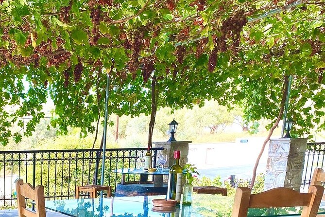 Wine Tasting and Winery Tour in Lemona Village, Paphos - Should You Book Tsangarides Winery in Lemona?
