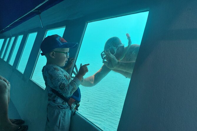 Zorky Yellow Semi Submarine and Zenobia Wreck 2 hours Shared Tour - Cruise Along the Coast: Marine Life Viewing Without Any Special Training